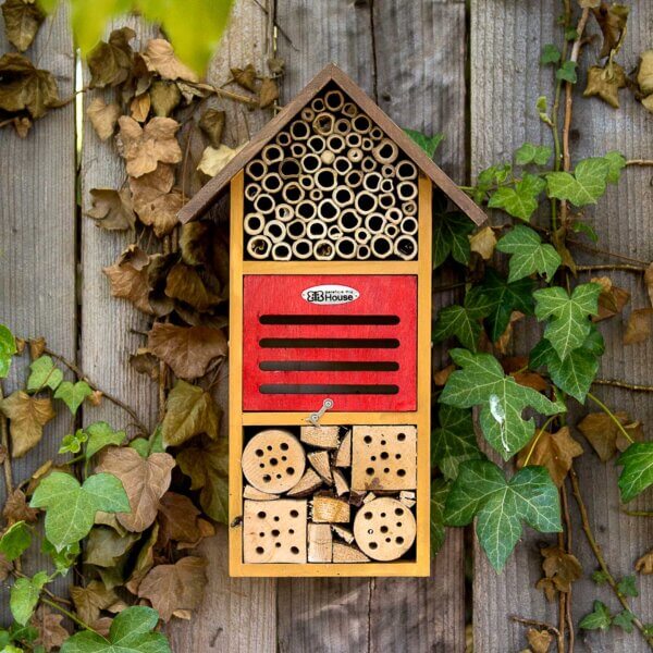 Iris Beneficial Bug House