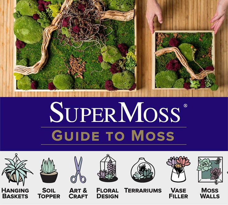 Color Love: Moss Green - with ways to use it for your project