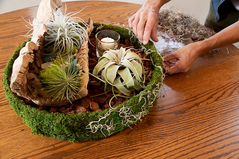 Terrarium Kit with Bark, Stones, Lichen, and Moss - Quick Candles