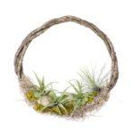 Lush Reindeer Moss Wreath, 12” Chartreuse
