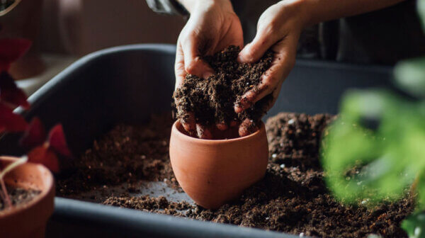 Agromin Organic Potting Mix, 4Qt.