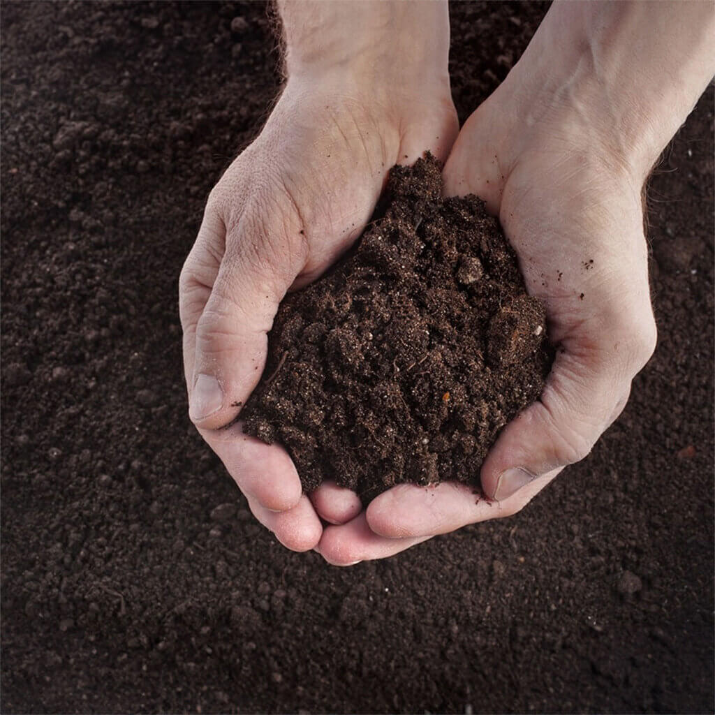 Agromin Organic Potting Mix, 4Qt. #2