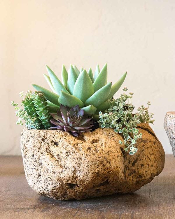 Top 7 Reasons To Rethink Stone Planters