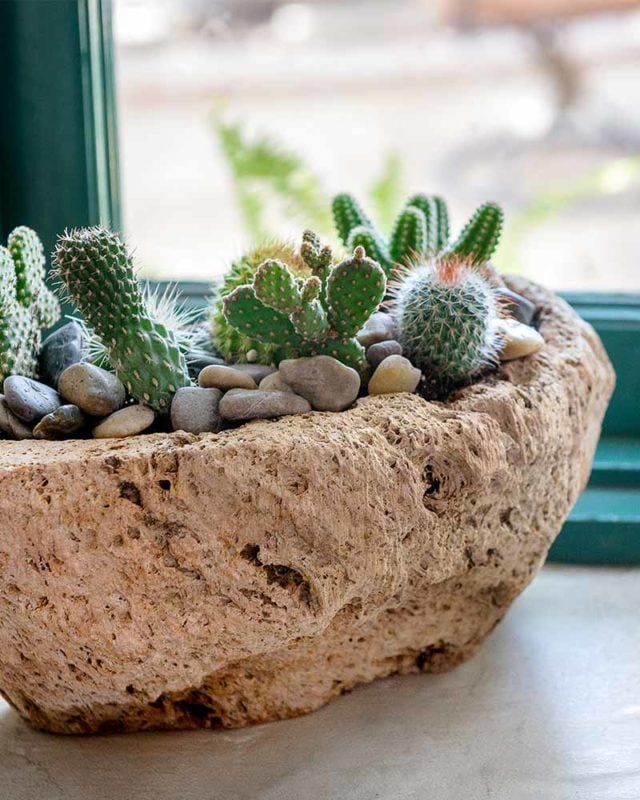 SuperMoss | Volcanic Stone Planter