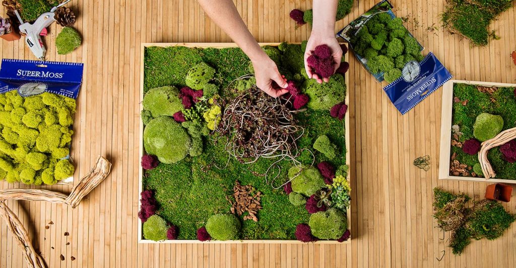 How to Make Your Own Moss Wall - SuperMoss