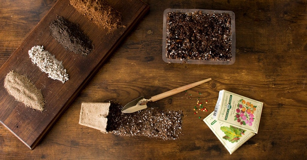 DIY Seed Starting Mix - How To Make Your Own Seedling Soil - SuperMoss