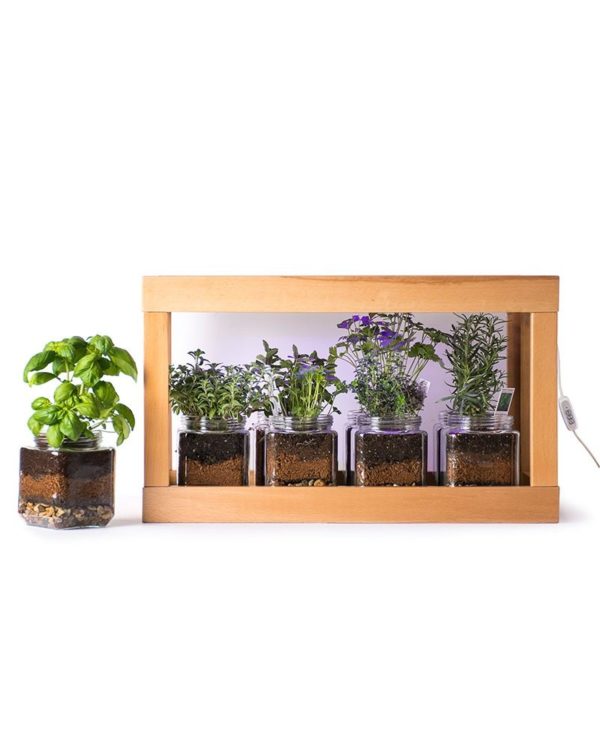 Tabletop Grow - SuperMoss Herb Garden