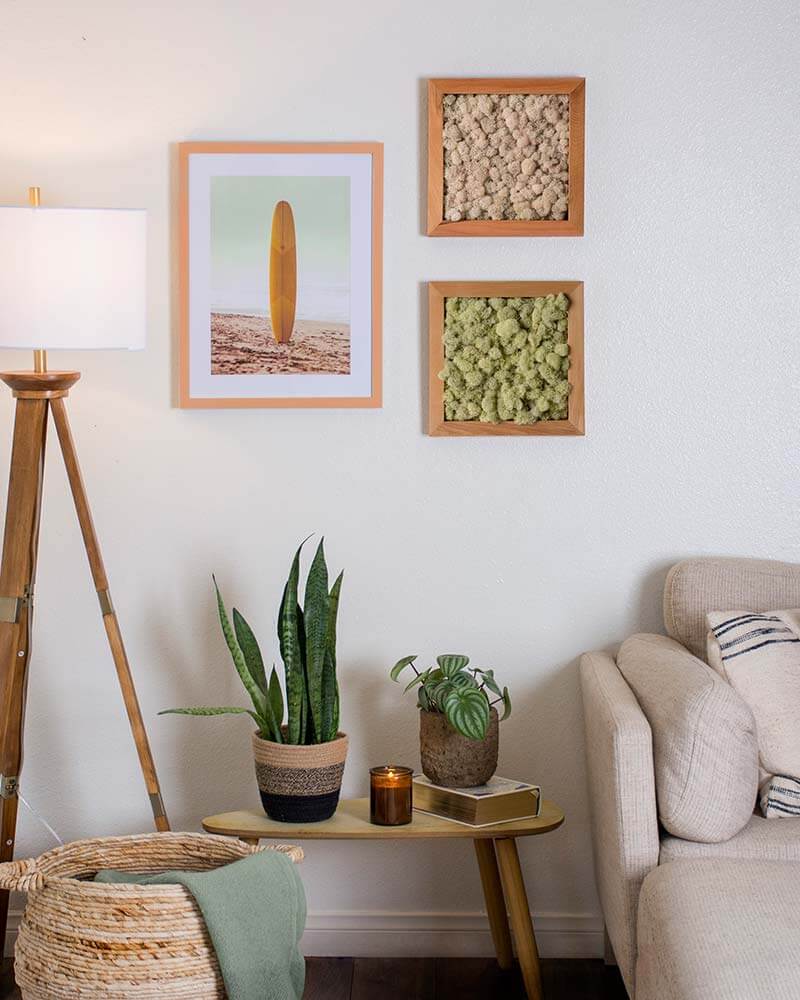 Reindeer Moss Frames