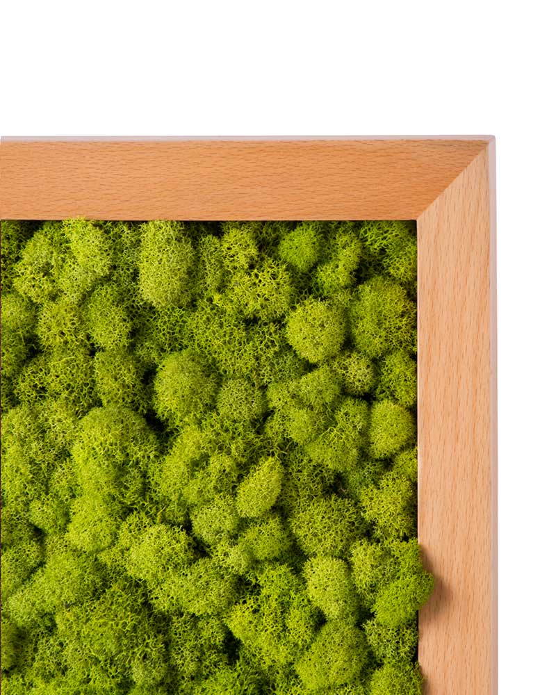 Framed Vertical Moss Wall Garden with Reindeer Moss in Shades of Green and Natural buy - 2 sizes and 5 frame color options