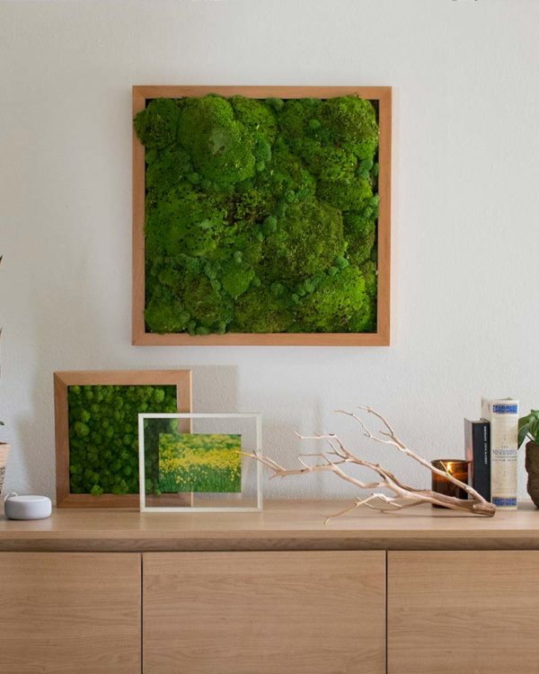 How to Make Your Own Moss Wall - SuperMoss