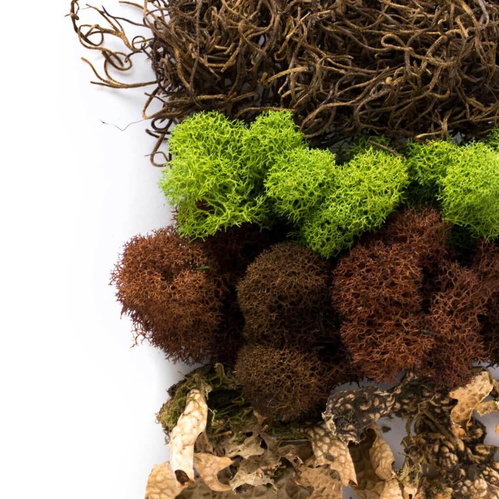 Oregon Moss Mix #4