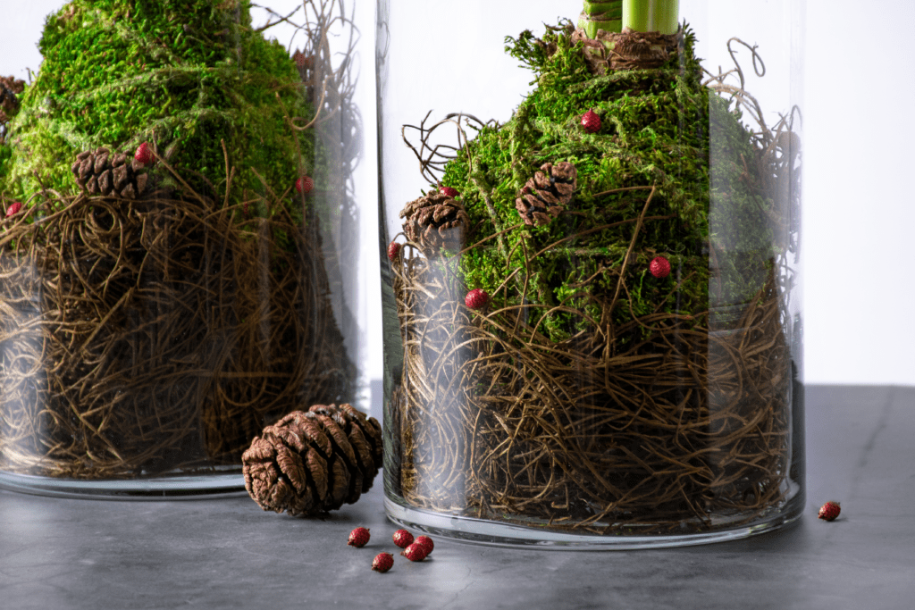 Exquisite sphagnum moss pot to Dazzle Up Your Décor 