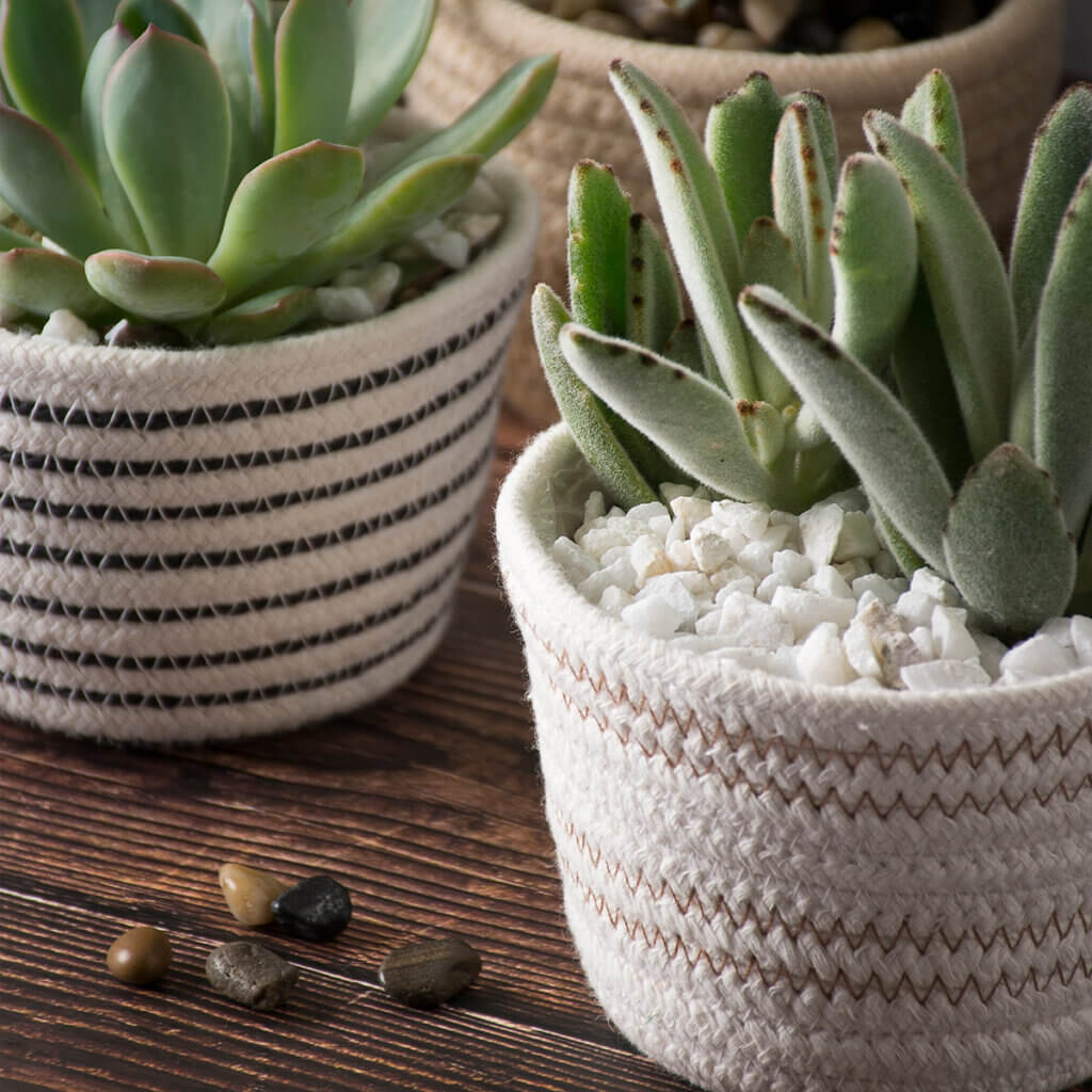 Houseplant Accessories