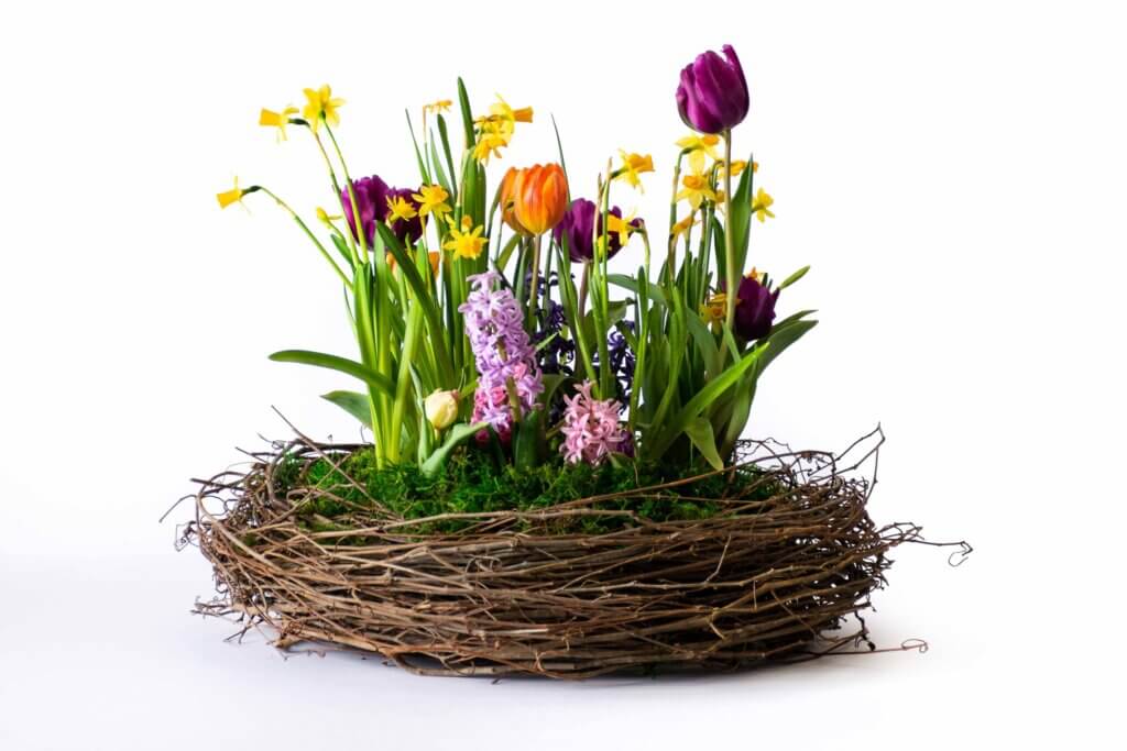 Forest Moss Preserved #7