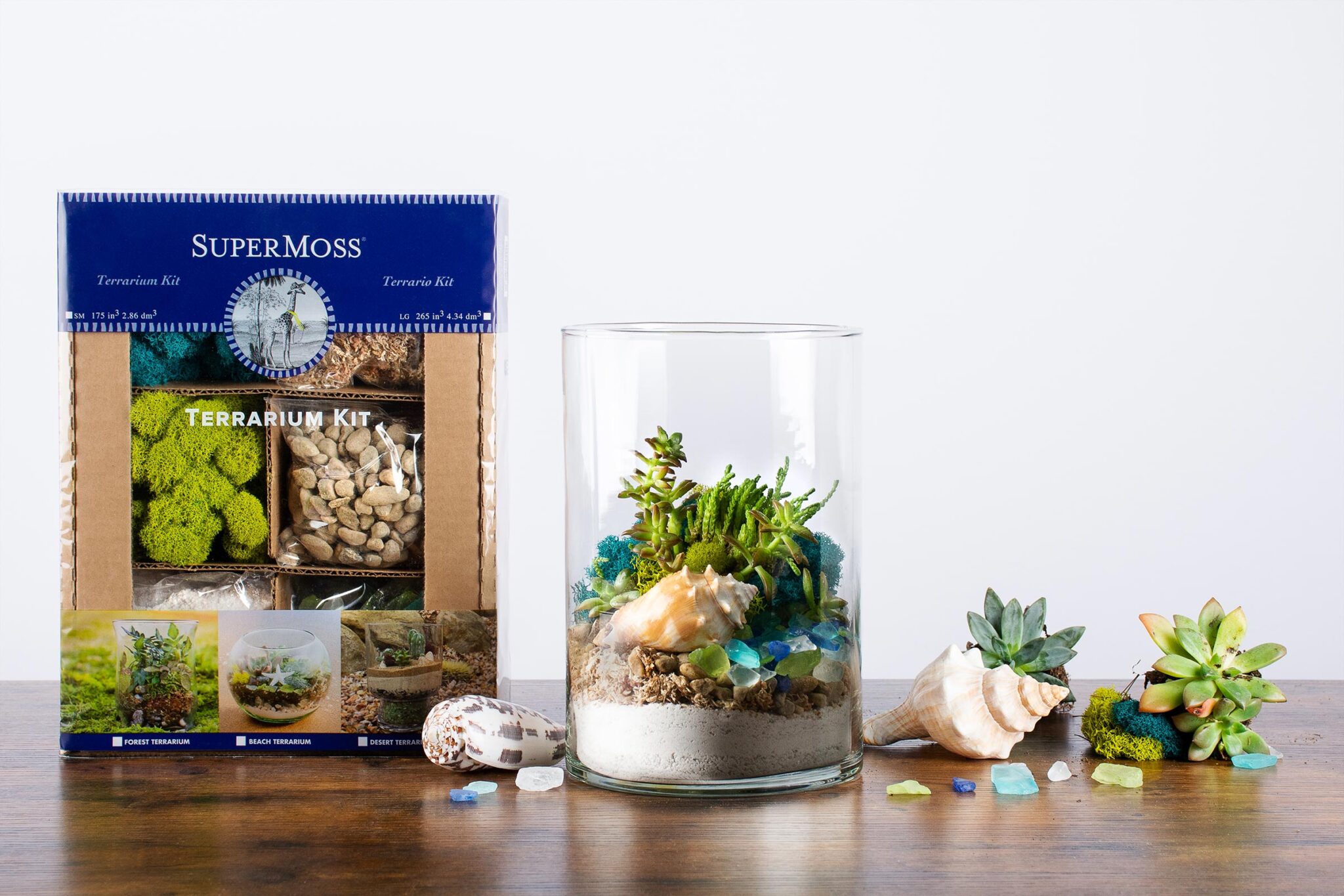 Beach Terrarium Kit Supermoss 2497