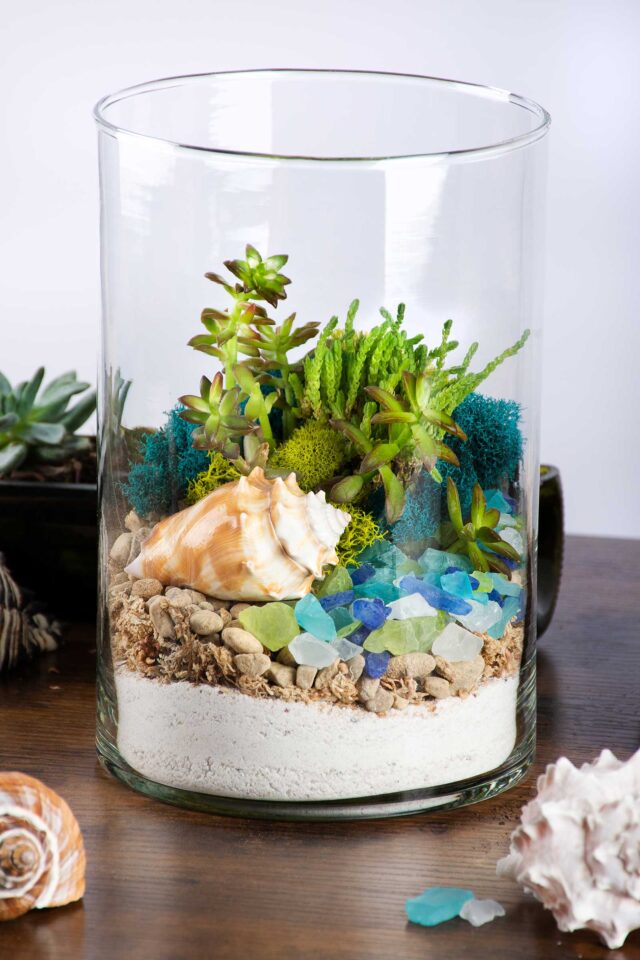 Beach Terrarium Kit Supermoss 2280