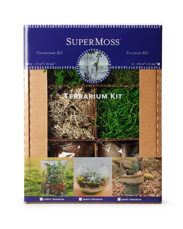 Terrarium DIY Kit