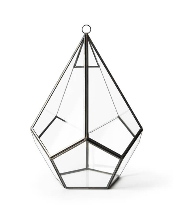 SuperMoss Glass Terrarium