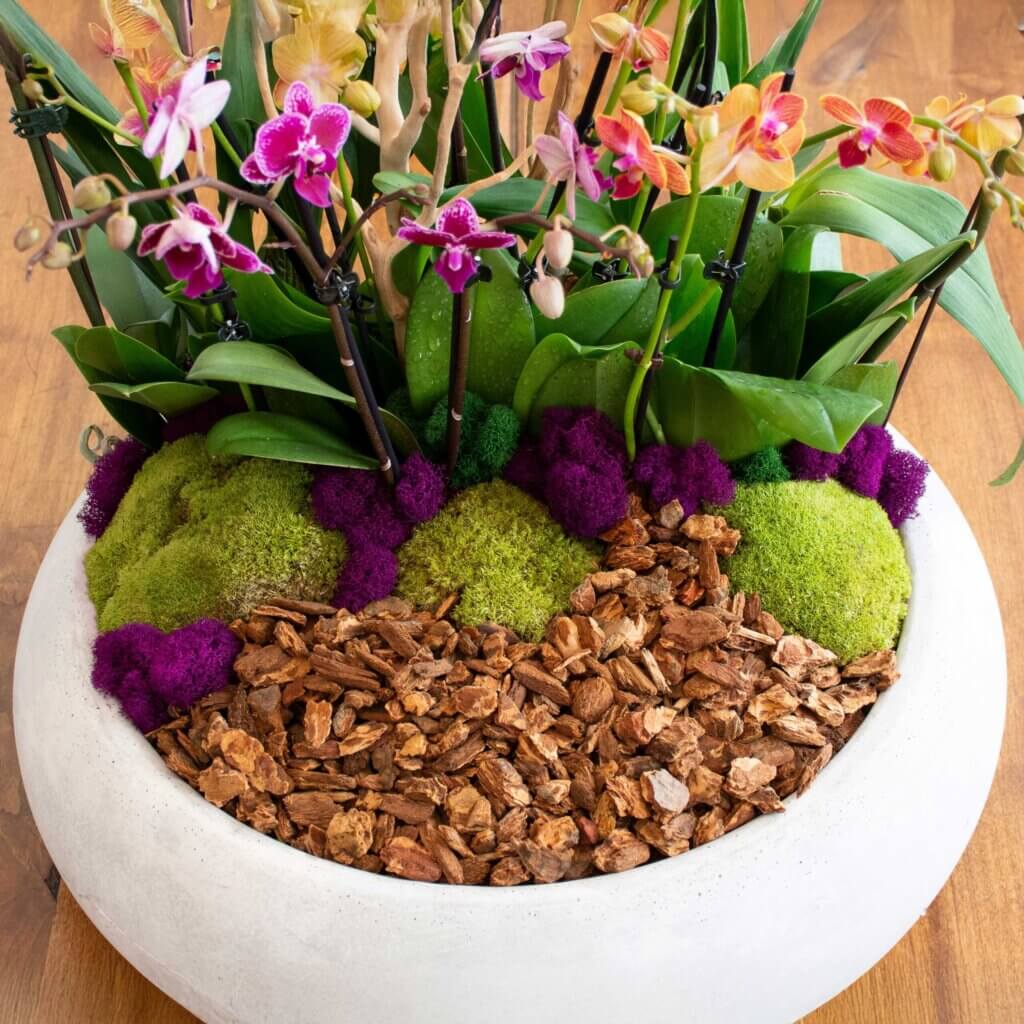 Orchid Potting Mix, 4qt. Zip Bag #1