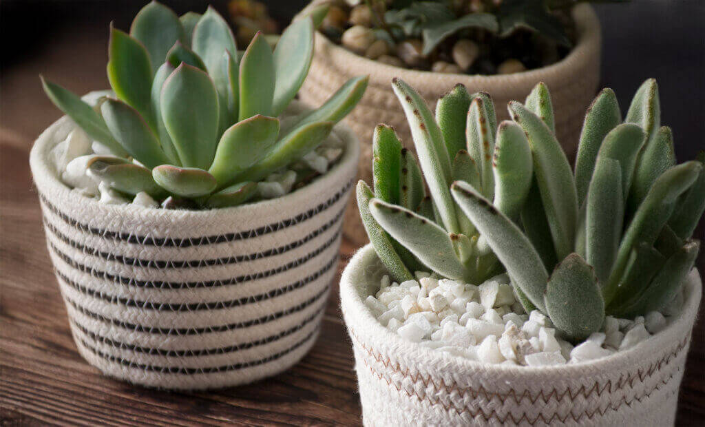 Decorative Stones #11