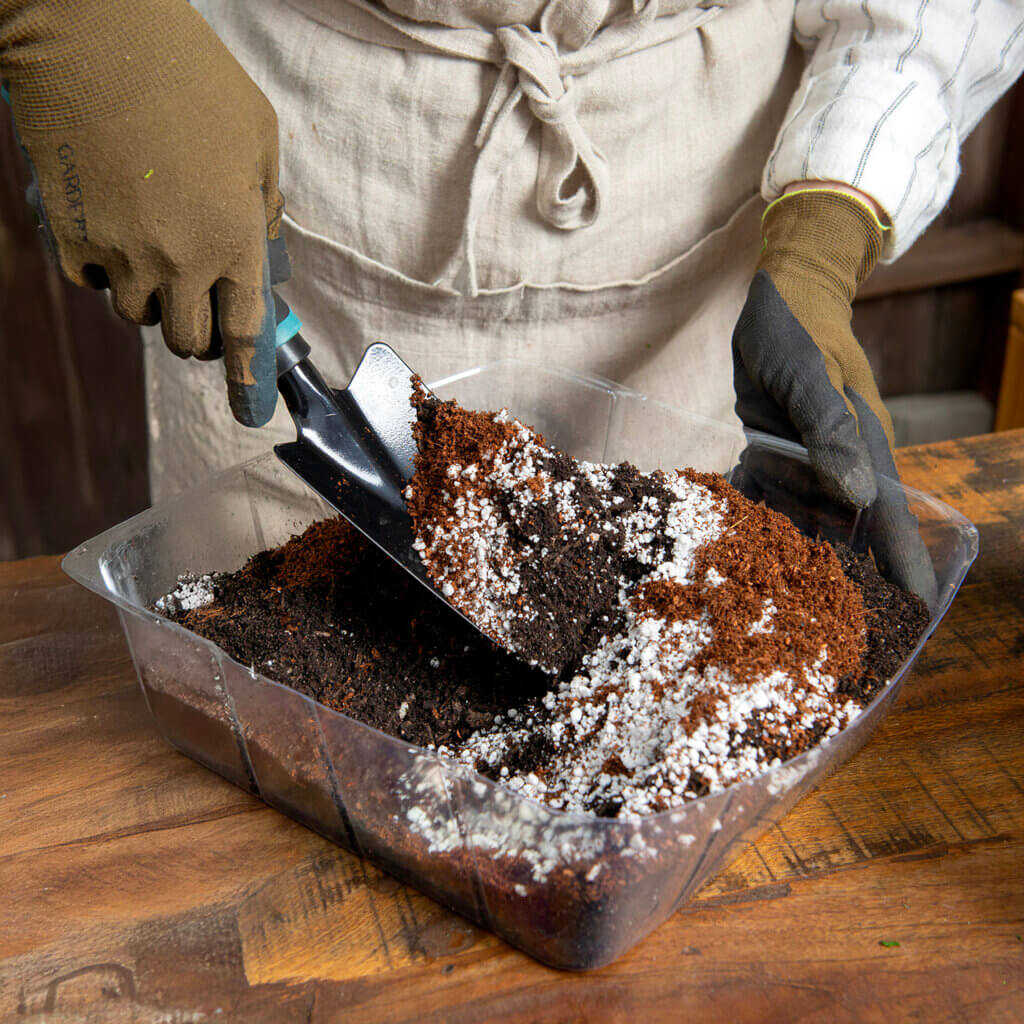 Perlite #6